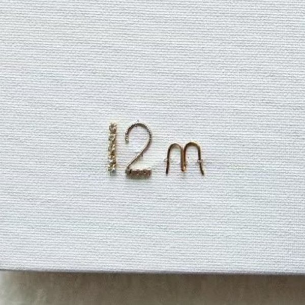 画像2: 追加オプション　　　 (2)